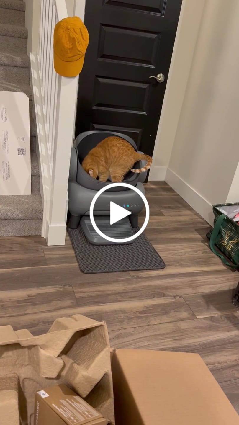 Customer video review of Neakasa M1 Open Top Self-Cleaning Cat Litter Box