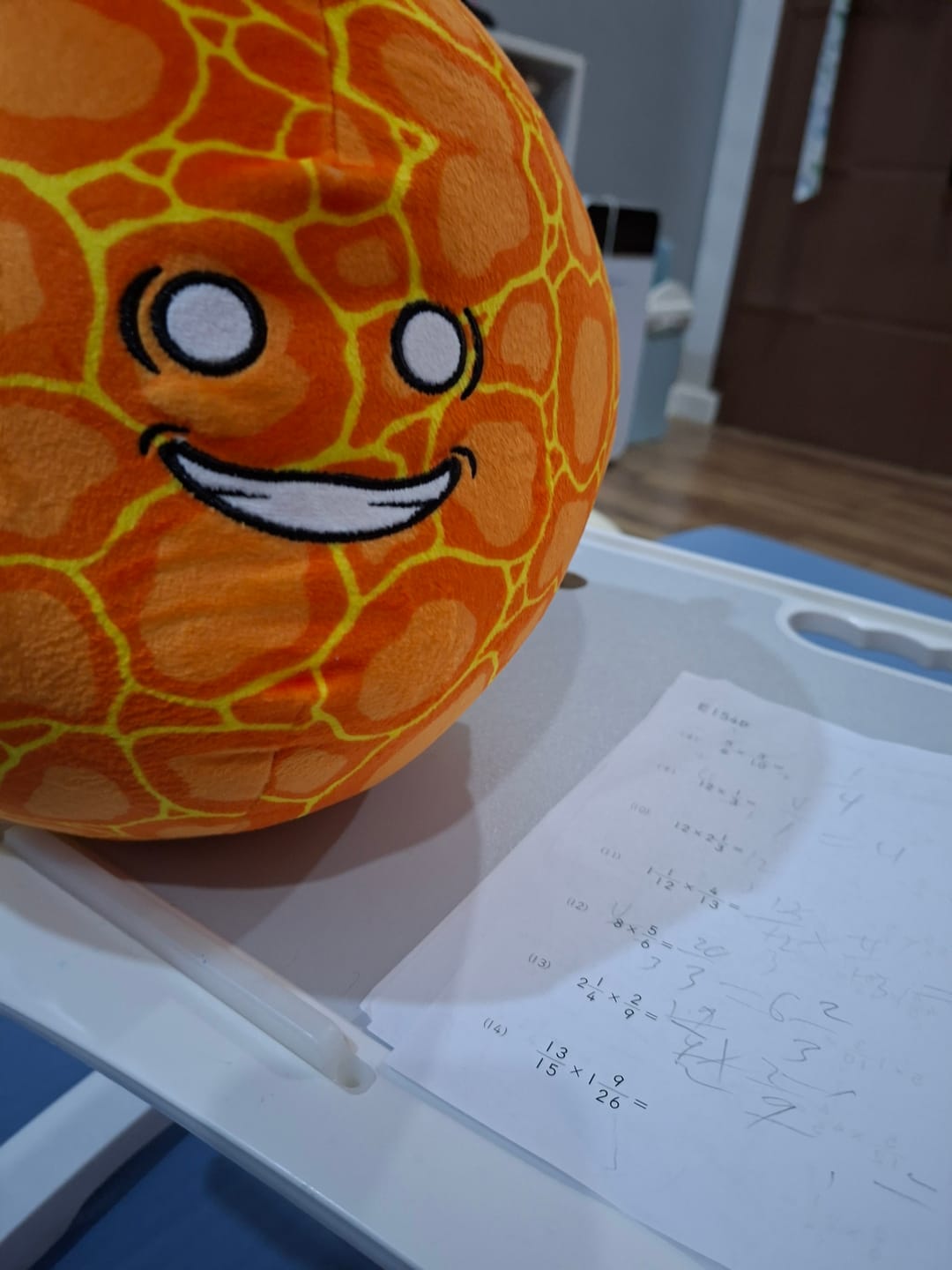 Customer photo review of The SolarBalls Sun Plush