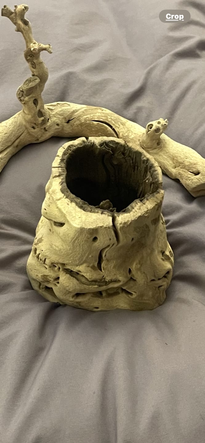 Customer photo review of Sandblasted California Grapewood Trunk Medium