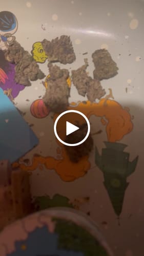 Customer video review of Greenhouse Smalls