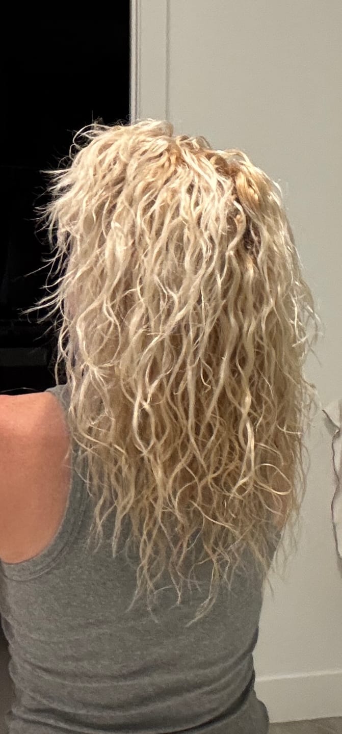 Customer photo review of Leave-In Conditioner