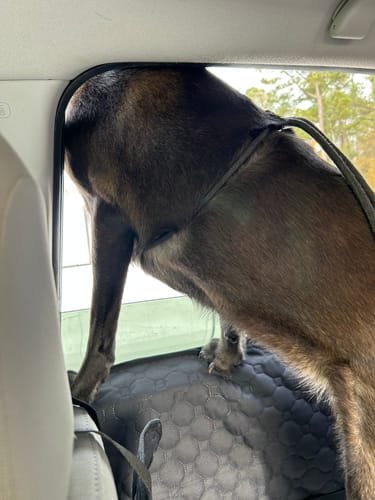 Customer photo review of DoorGuard (2-Pack)