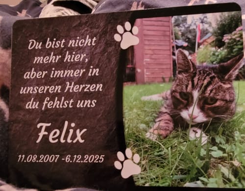 Customer photo review of Familien Türschild (UV- und wetterfest) inkl. Klebebefestigung