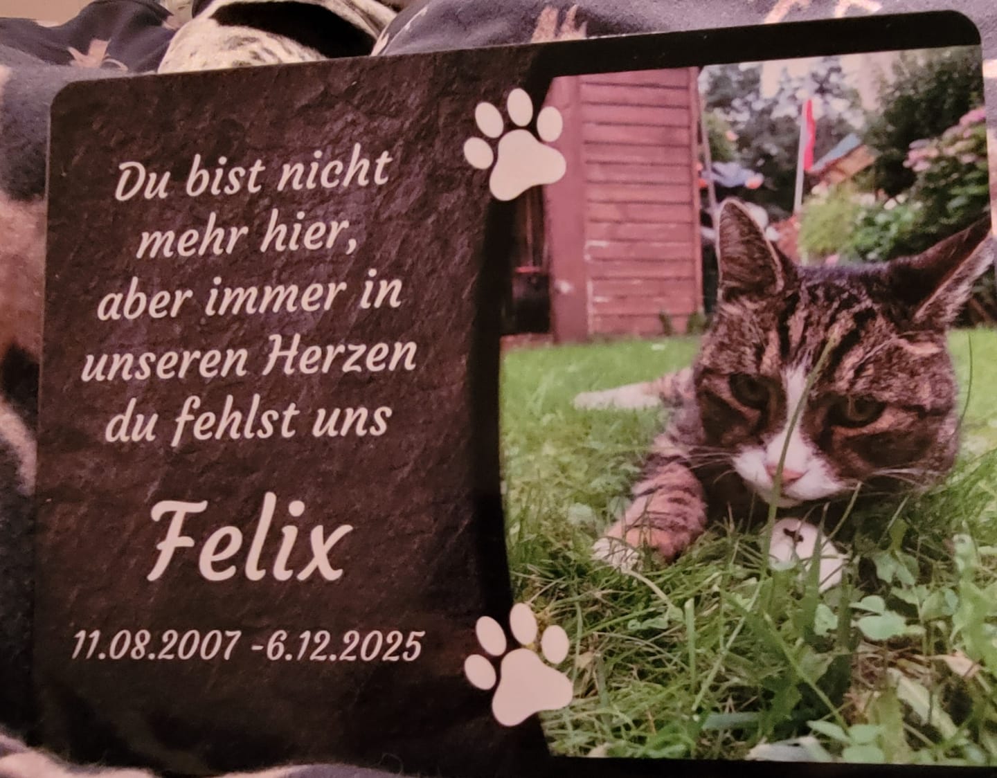 Customer photo review of Familien Türschild (UV- und wetterfest) inkl. Klebebefestigung