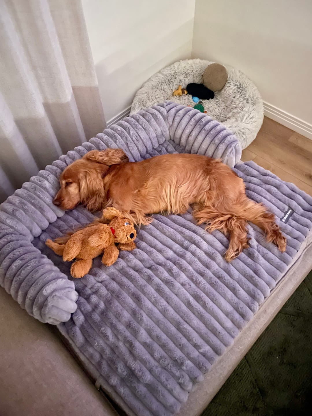 Customer photo review of Luxury Couch Cover Dog Beds
