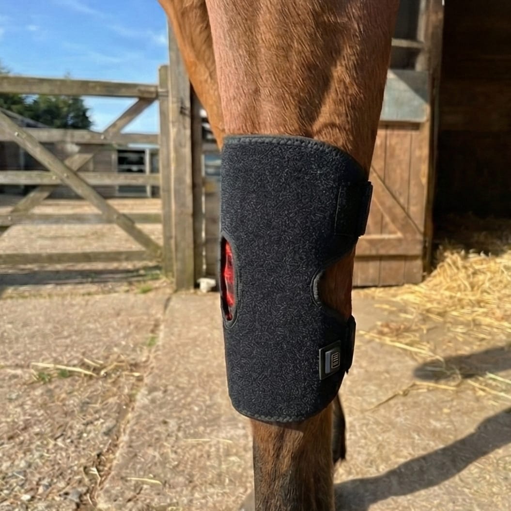 Customer photo review of HorseHalo™  HaloHocks