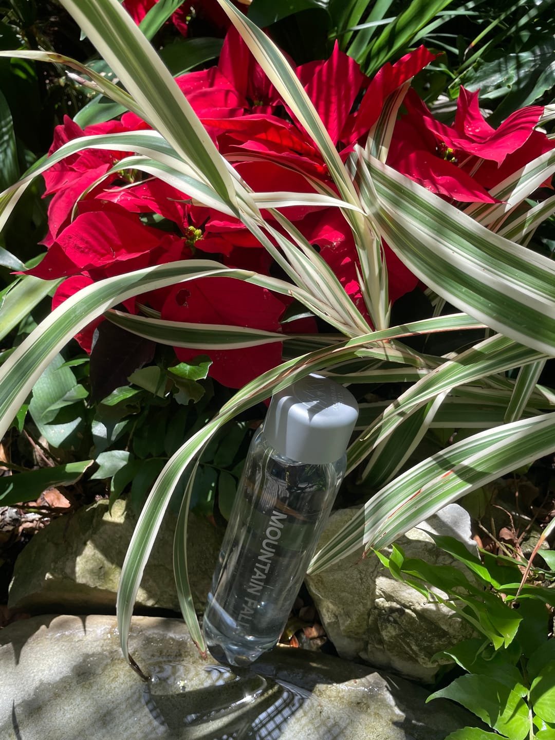 Customer photo review of 1L Sparkling Mineral Water - Pack of 12