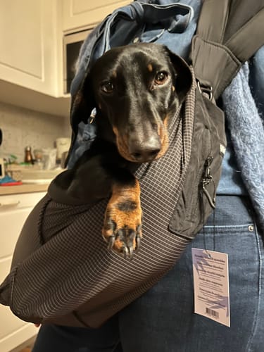 Customer photo review of Sac de transport en bandoulière noir