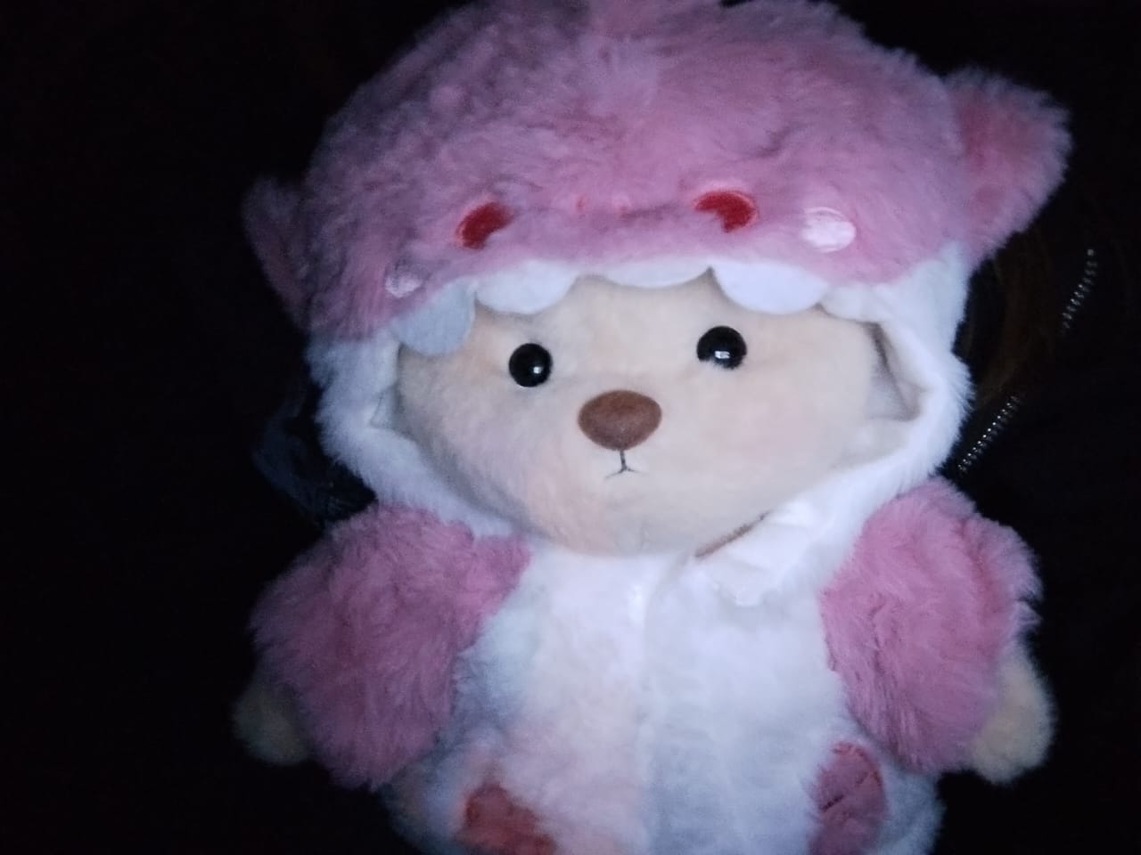 Customer photo review of Pink Shark