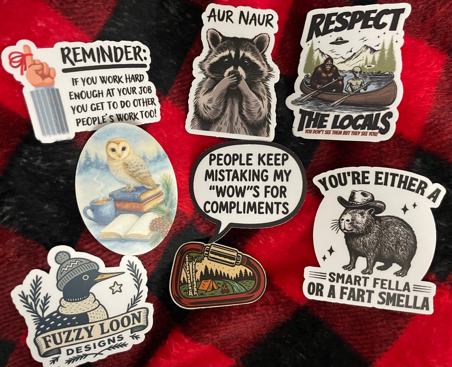 Customer photo review of STICKER CLUB | Monthly Sticker Subscription