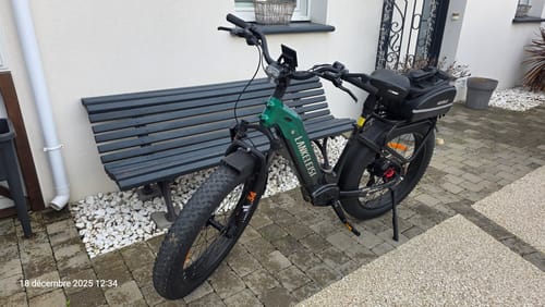 Customer photo review of Lankeleisi MG600 Plus 2025 Version 26" Fat Bike 960Wh All Terrain SUV E-Bike with Torque Sensor 48V 20Ah Battery  [Pre-order]