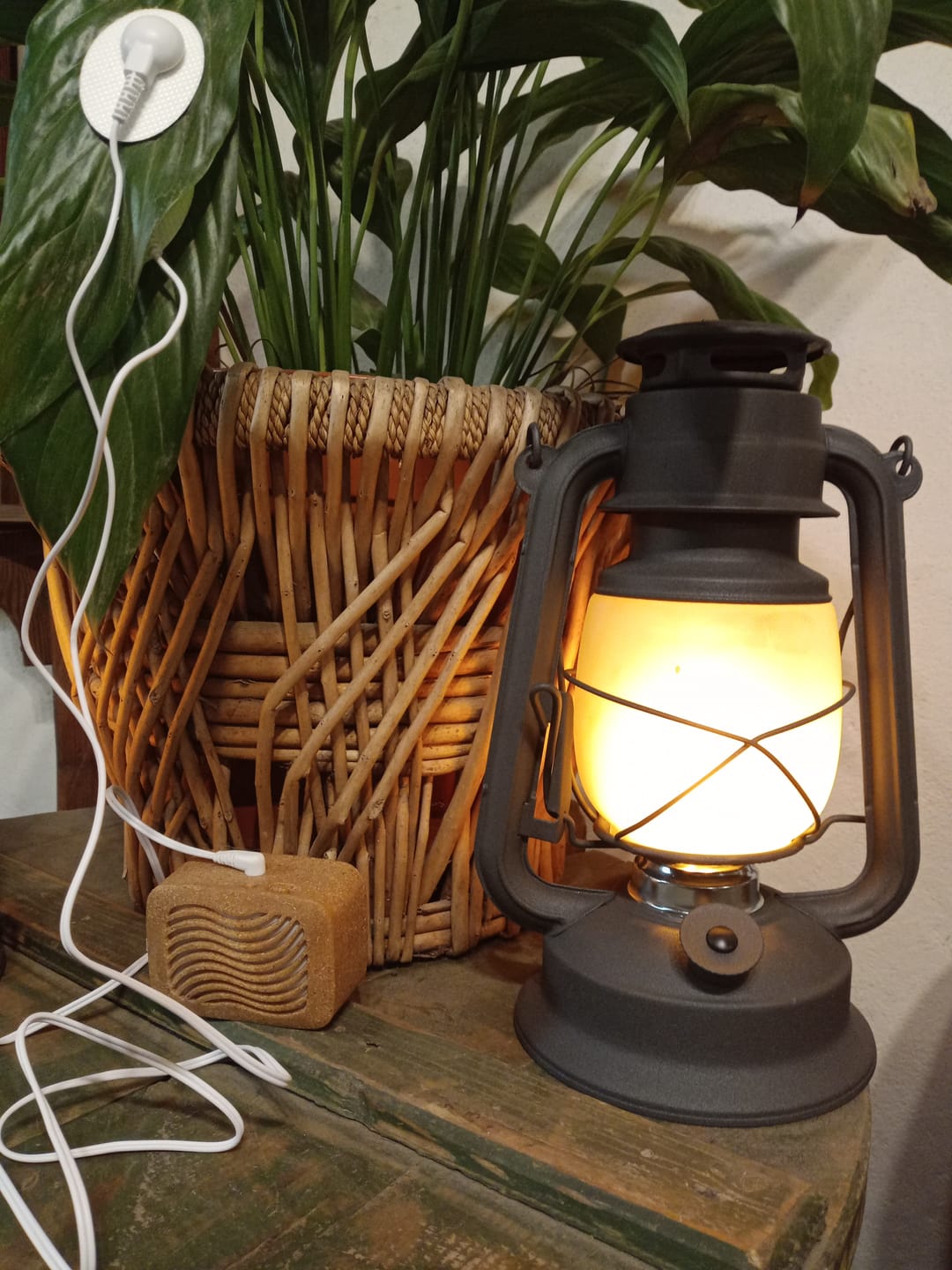 Customer photo review of PlantWave