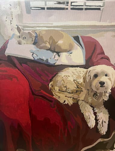 Customer photo review of Custom Pet Paint By Numbers