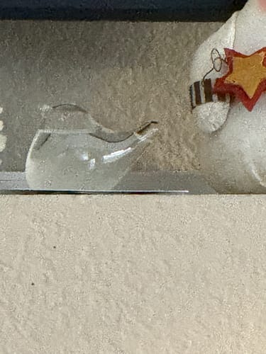 Customer photo review of BLACK FRIDAY Bird Storm Glass