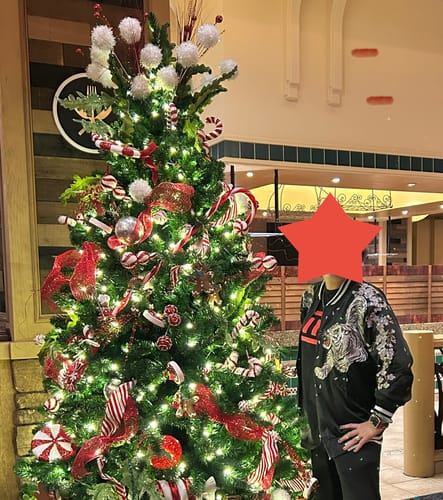 Customer photo review of Four Legendary Creatures Sukajan Souvenir Jacket