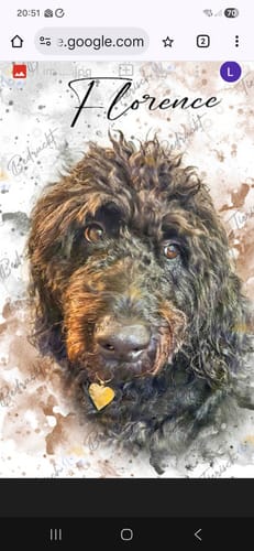Customer photo review of Your Pet as Watercolor Portrait