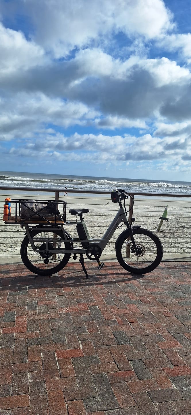 Customer photo review of Minivan SE