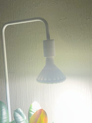 Customer photo review of Pianta 30 Grow Light LED Bulb