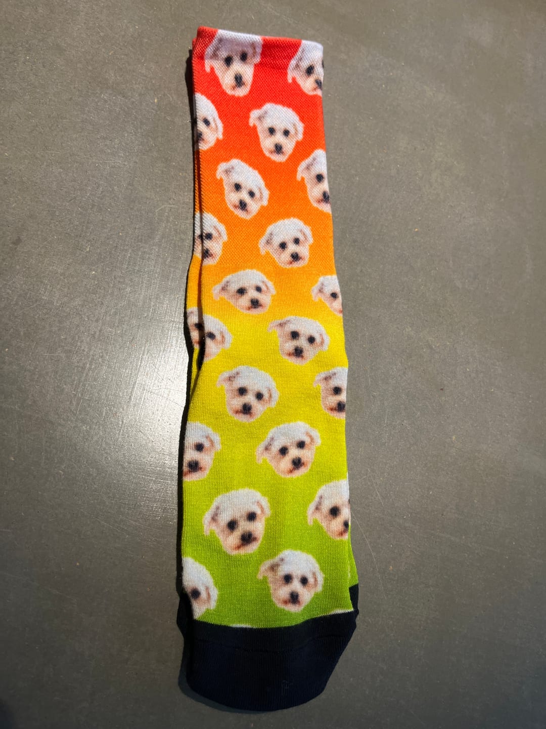 Customer photo review of Custom Pet Art Socks