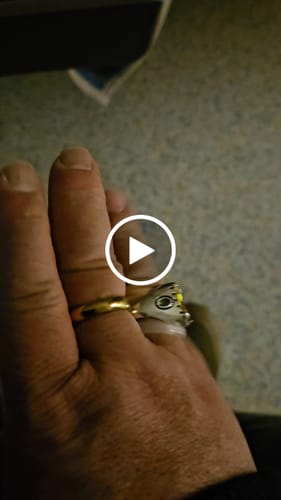 Customer video review of Lunar Year-End Edition (Prestige Circle, Prestige Mantra Card & Sacred Blessing Talisman)