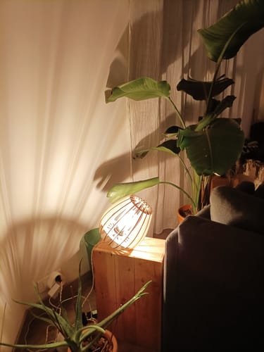 Customer photo review of Atome | Lampe à poser