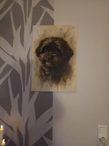 Customer photo review of Dein Haustier als Porträt - Individuelle Leinwand