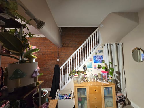 Customer photo review of Pianta Grow Light and Stelo Clip-On Bulb Holder Bundle