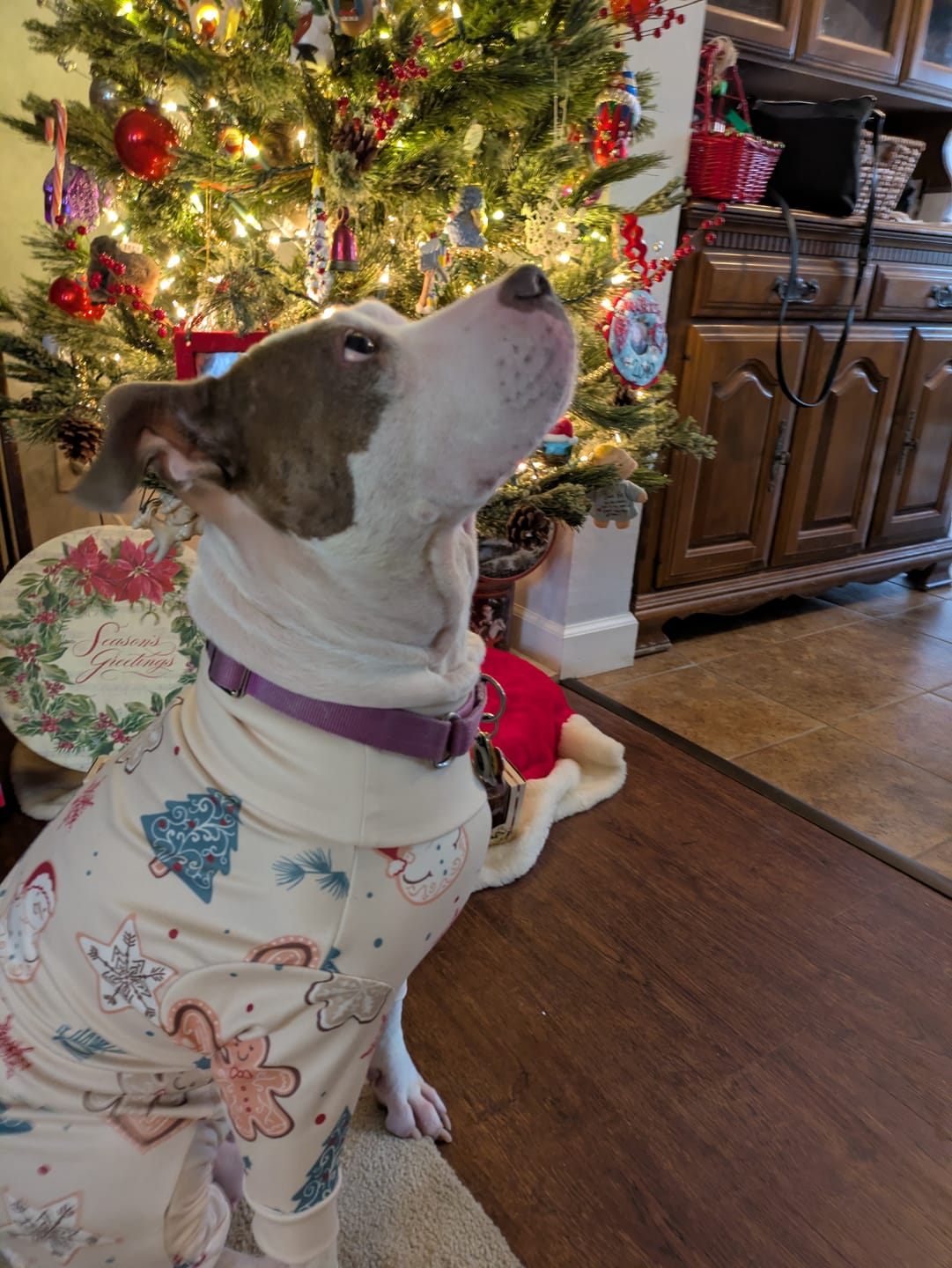Customer photo review of Dog Christmas Pajama - Frosty Night