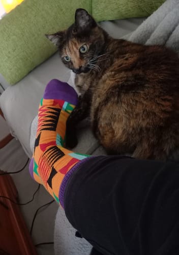 Customer photo review of Boga