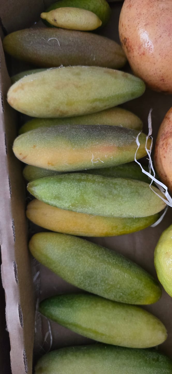 Customer photo review of Curuba (Bananen-Maracuja)