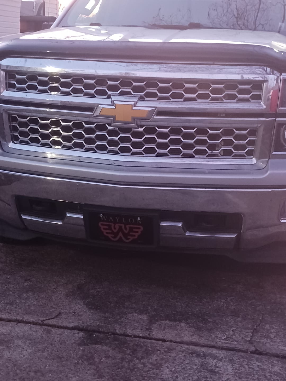 Customer photo review of Waylon Jennings Flying W License Plate