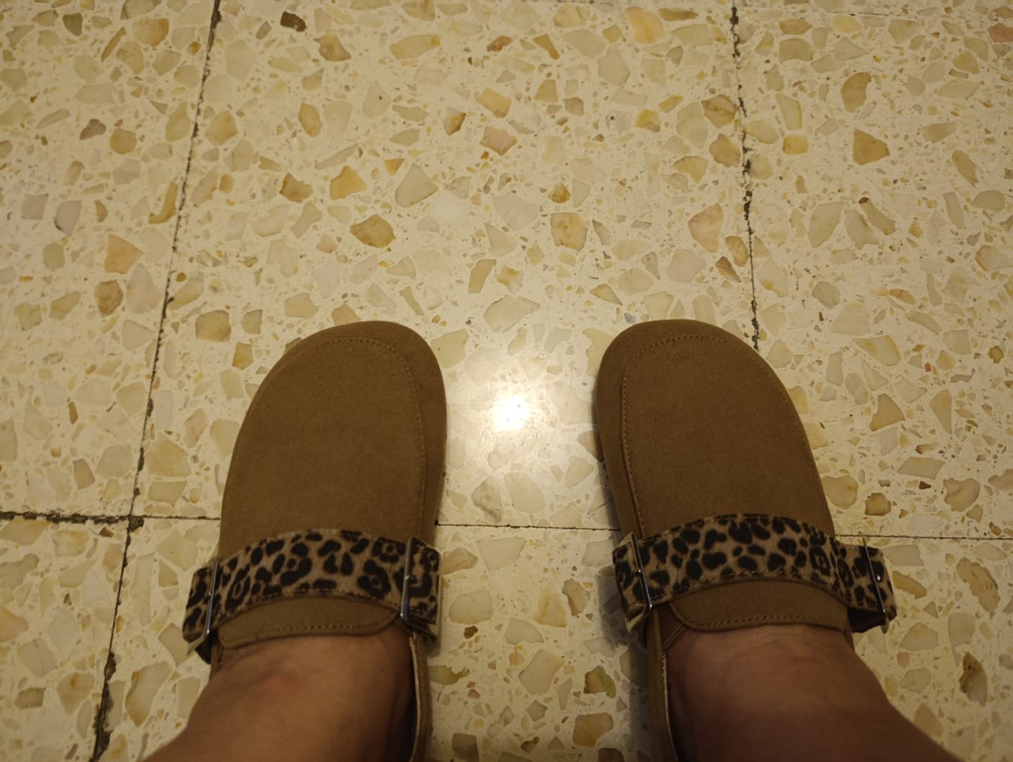 Customer photo review of Roots Mocaflip Terra