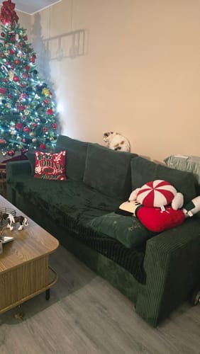 Customer photo review of Kanapa NEO BP sztruks