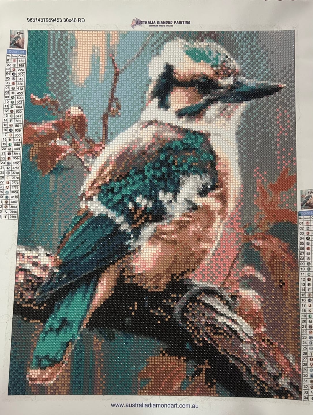 Customer photo review of Kookaburra IX (Diamond Painting)