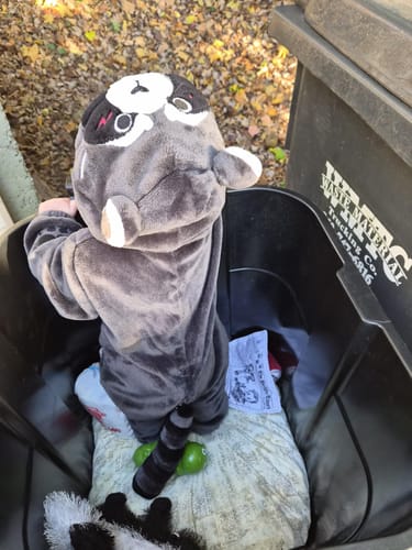 Customer photo review of OLAOLA Baby's Raccoon Animal Onesie Plush Soft Flannel Toddler Romper Warm Home Pajamas One-Piece Sleepwear