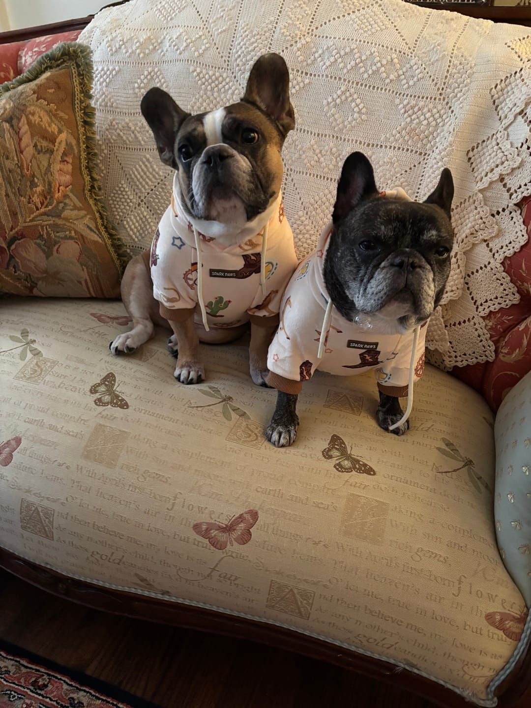 Customer photo review of Dog Hoodie Prints