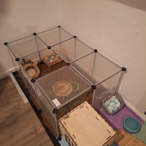 Customer photo review of Kleintiereinstreu