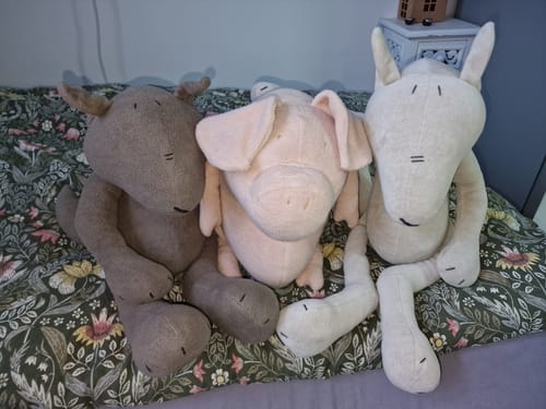 Customer photo review of PIOTR, LE LOUP - L