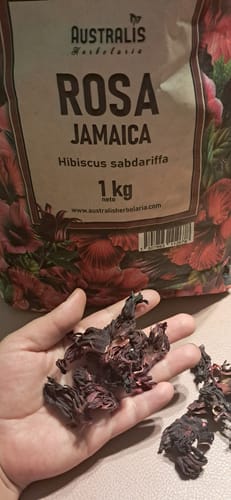 Customer photo review of Rosa Jamaica - Hibisco / Flor ⁽ᵃˡᵗᵃ ᶜᵃˡⁱᵈᵃᵈ⁾
