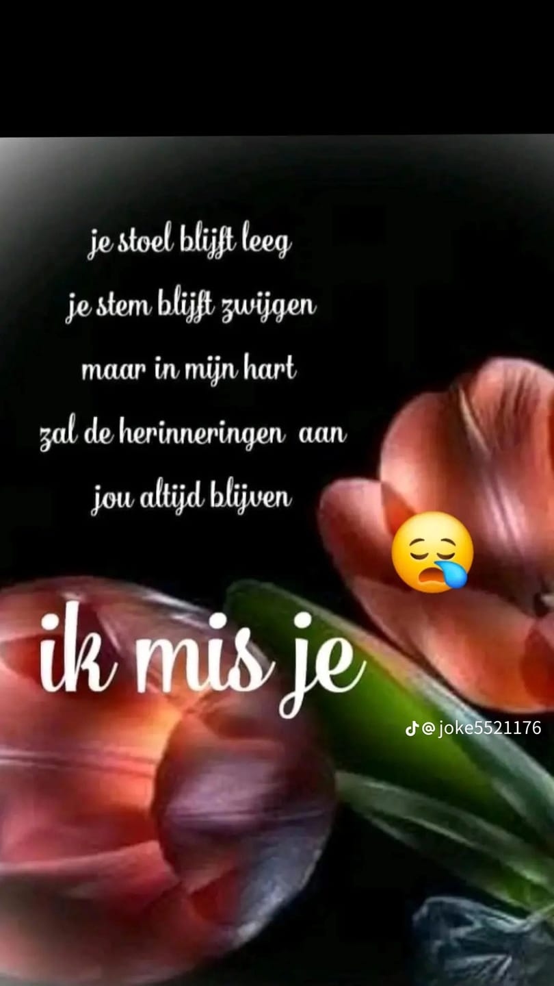 Customer photo review of Zijden Kiku Bloemen - Beige Mix