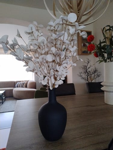 Customer photo review of Kunst Eucalyptus - Wit (5stengels)