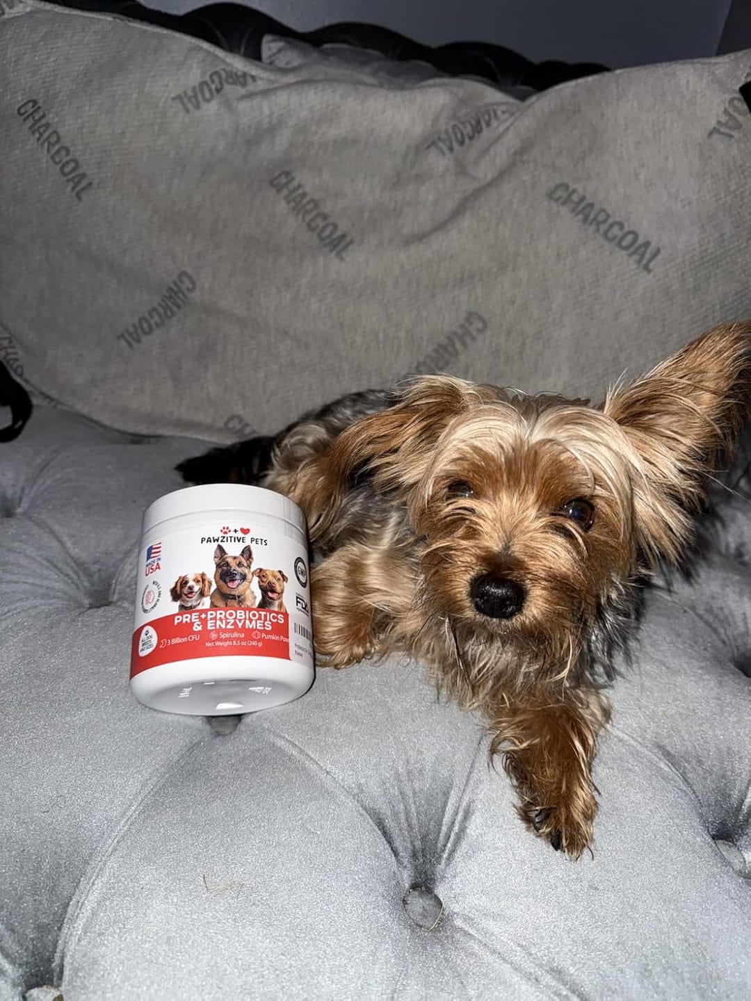 Customer photo review of Probiotics for Dogs Digestive Health – 120 Soft Chews