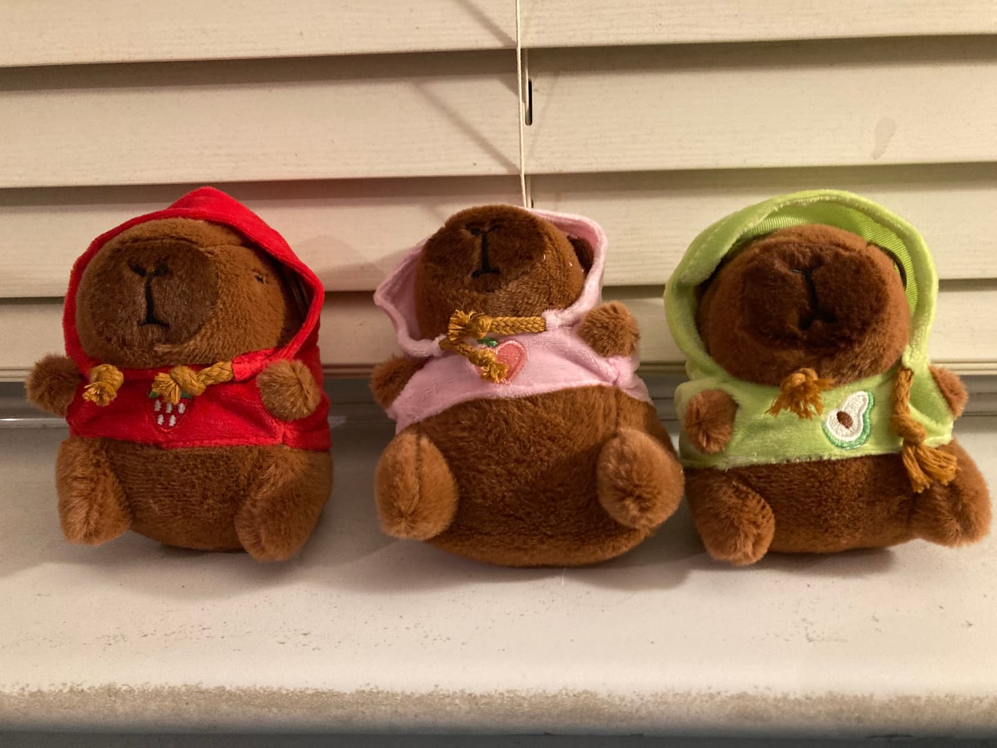 Customer photo review of Capybara with Hoodie Keychain