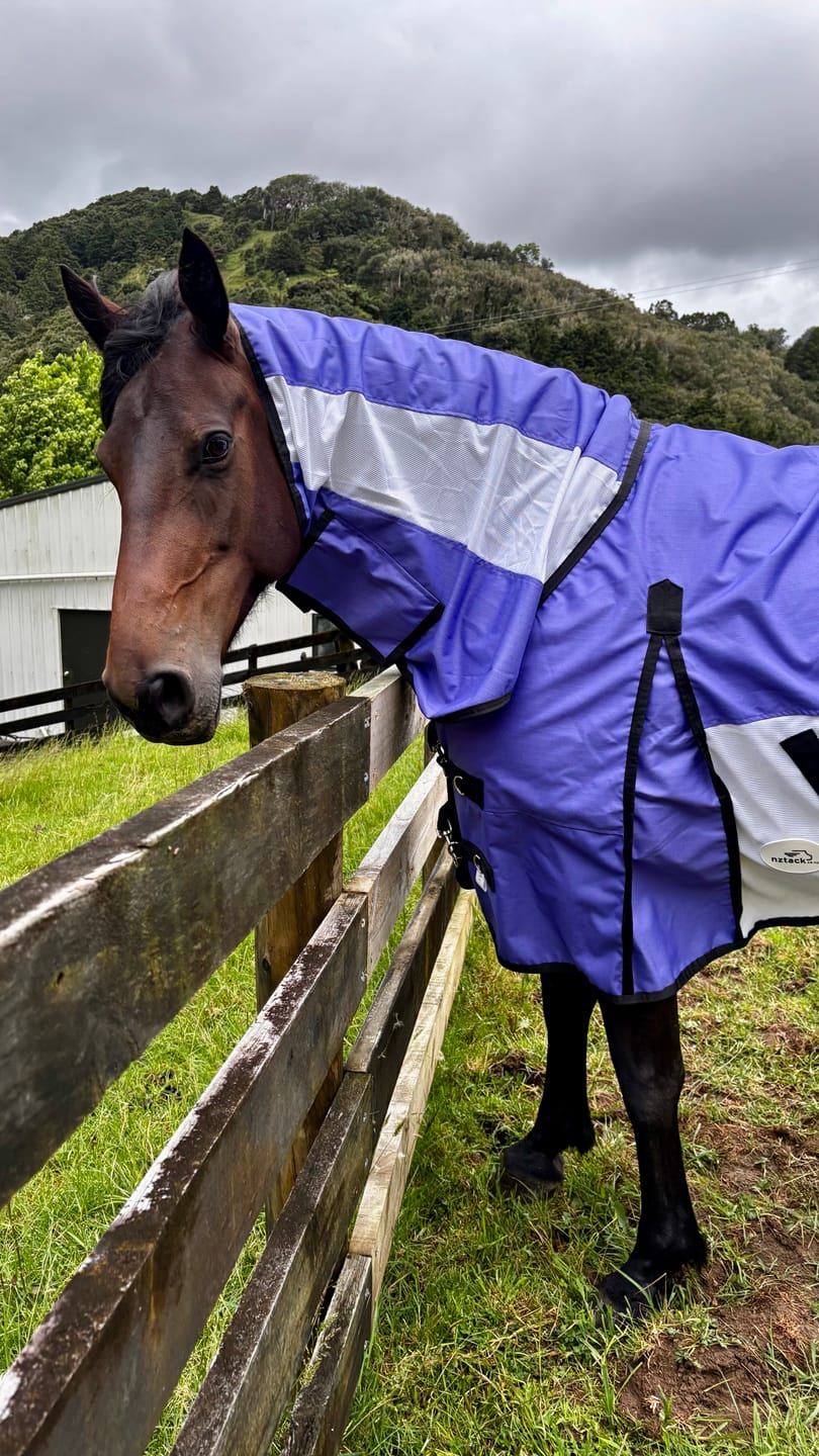Customer photo review of PRE-ORDER: DUE FEB 2026 NZ Tack WaterProof Mesh CrossOver Combo Purple