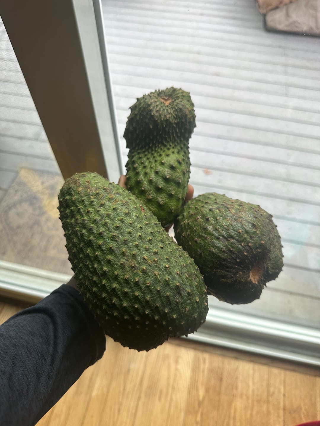 Customer photo review of Premium Soursop (Guanabana)