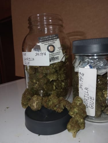 Customer photo review of Cheap THCA Flower Quarter Pound