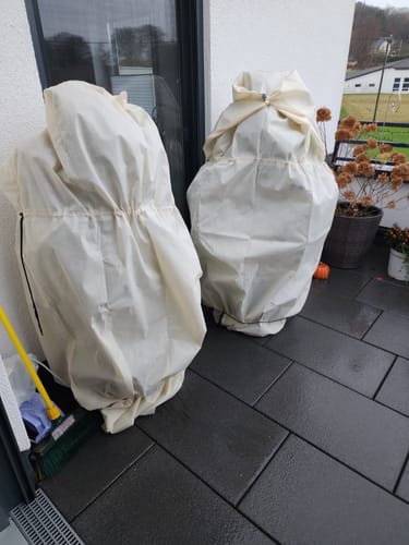 Customer photo review of Winterschutz für Kübelpflanzen XXL H 180 x B 120 cm Ø 76 cm