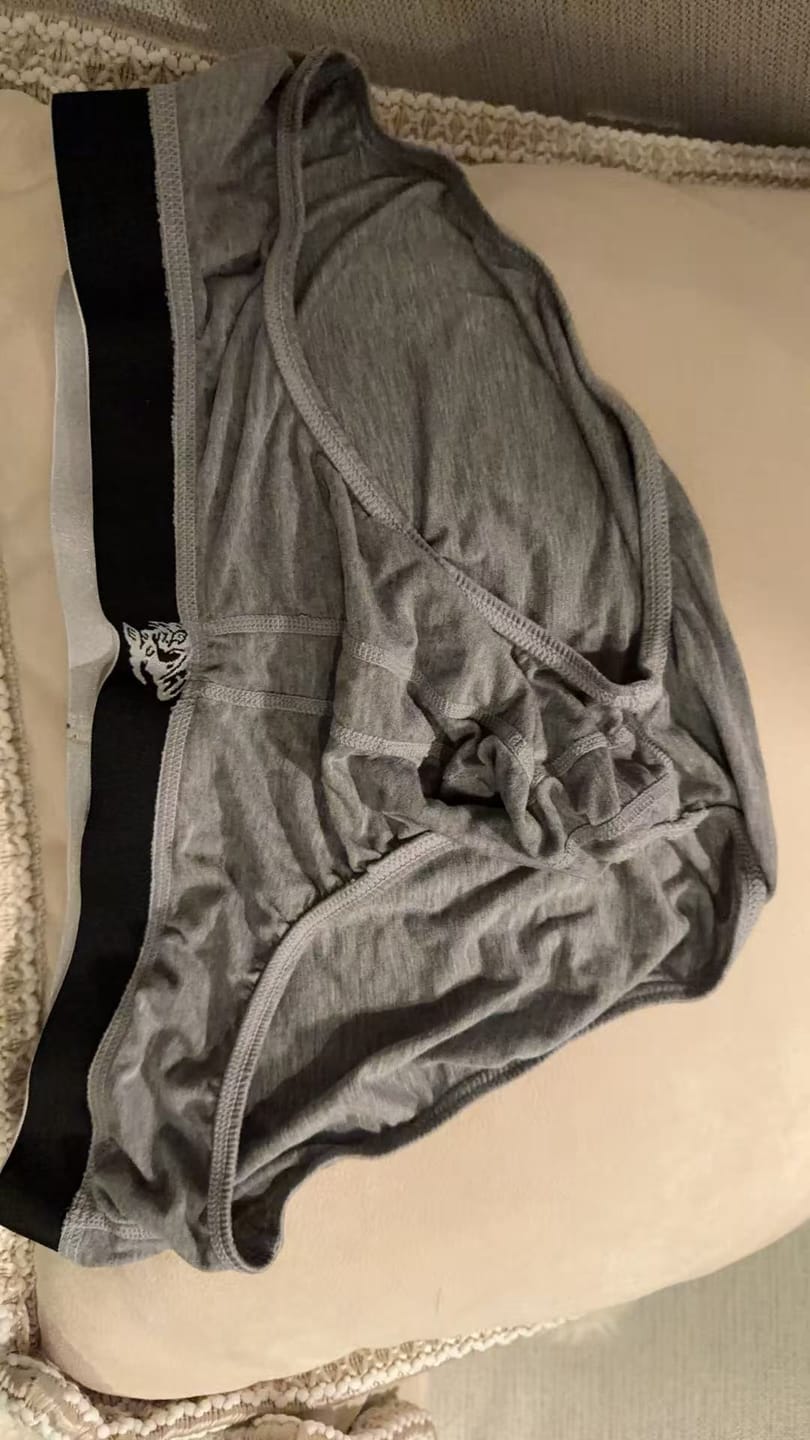 Customer photo review of Modal 0in Briefs No Fly 3pk Blue/Gunmetal Gray/Heather Gray