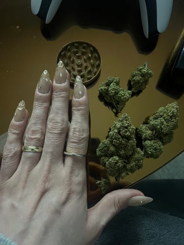 Ein Kunde zeigt die grünen Knospen des Mellow Cloud Ökopacks neben einem Grinder und seiner Hand.