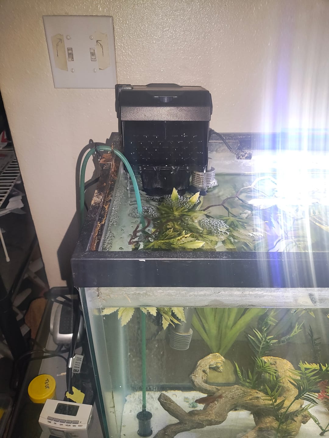 Customer photo review of Aqua Filtra By Sicce